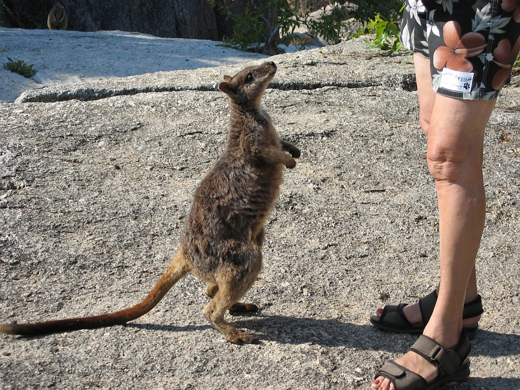 069 Granite Gorge.jpg